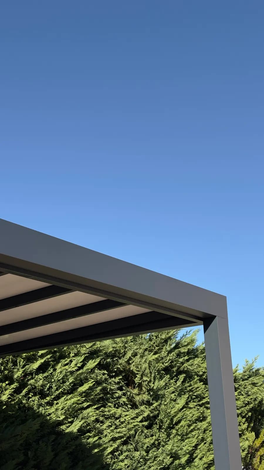 Side profile of the new pergola
